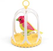 Opakowanie DigiBirds z klatką Costa