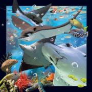 Opakowanie Magnes 3D Płaszczka