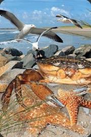 Opakowanie Mini kartka 3D Krab