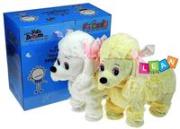 Opakowanie Piesek na smyczy Pudelek