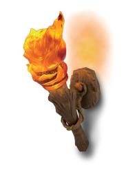 Okładka książki Pochodnia w moim domu