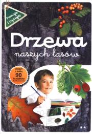 Poznaję i rysuję. Drzewa naszych lasów cz.2. Autor: ANDŻELIKA BIELAŃSKA. FOT. ZBIGNIEW NAWARA, Adamczyk Jacek, WIERSZE JOANNA LISZEWSKA. Dadada.pl Okładka książki Poznaję i rysuję. Drzewa naszych lasów cz.2