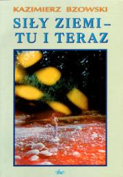 Opakowanie Siły Ziemi - Tu i Teraz