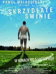 Okładka książki Skrzydlate świnie