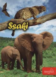 Ssaki. Autor: Popielarska-Konieczna Marzena. Dadada.pl Okładka książki Ssaki