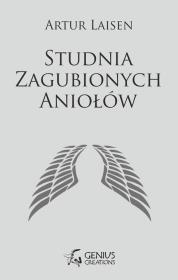 Studnia Zagubionych Aniołów. Autor: Laisen Artur. Dadada.pl Okładka książki Studnia Zagubionych Aniołów