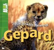 Animal Planet - Gepard. Autor: Costain Meredith. Dadada.pl Okładka książki Animal Planet - Gepard