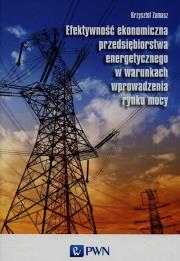 Okładka książki Efektywność ekonomiczna przedsiębiorstwa energetycznego w warunkach wprowadzenia rynku mocy