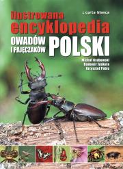 Okładka książki Ilustrowana encyklopedia owadów i pajęczaków TW