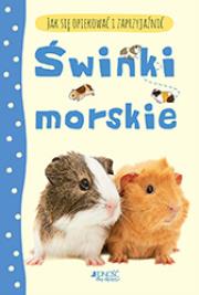 Jak się opiekować i zaprzyjaźnić Świnki morskie. Autor: Laura Howell; ilustracje: Christyan Fox. Dadada.pl Okładka książki Jak się opiekować i zaprzyjaźnić Świnki morskie