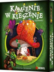 Okładka książki Kamienie w kieszenie REBEL