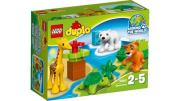 Opakowanie Lego Duplo Zwierzątka