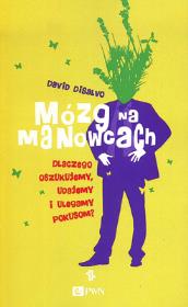 Okładka książki Mózg na manowcach