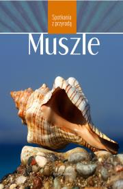Muszle. Autor: Wąsowski Rafał, Penkowski Aleksander. Dadada.pl Okładka książki Muszle