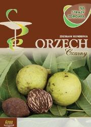 Orzech czarny  . Autor: Zdzisław Konderka. Dadada.pl Okładka książki Orzech czarny