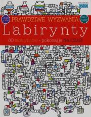 Prawdziwe wyzwania: Labirynty. Autor: Neradova Maria, Ebert Andrea. Dadada.pl Okładka książki Prawdziwe wyzwania: Labirynty