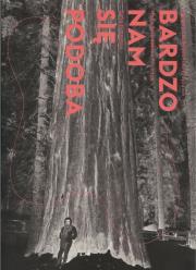 Bardzo nam się podoba. Autor:   Praca zbiorowa. Dadada.pl Okładka książki Bardzo nam się podoba