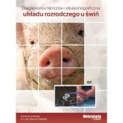 Diagnostyka kliniczna i ultrasonograficzna układu rozrodczego u świń. Wydawca: Elamed. Dadada.pl Opakowanie Diagnostyka kliniczna i ultrasonograficzna układu rozrodczego u świń