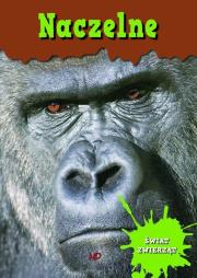 Encyklopedia Świat zwierząt. Naczelne. Autor: Opracowanie zbiorowe. Dadada.pl Okładka książki Encyklopedia Świat zwierząt. Naczelne
