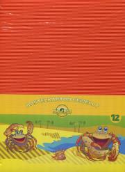 Opakowanie Karton kolorowy 12 sztuk