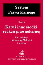 Opakowanie Kary i inne środki reakcji prawnokarnej System Prawa Karnego Tom 6