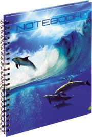 Opakowanie Kołobrulion A4 w kratkę 100 kartek