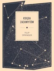 Księga zachwytów. Autor: Filip Springer. Dadada.pl Okładka książki Księga zachwytów
