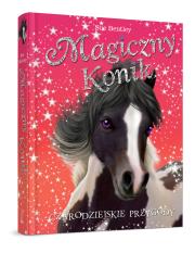 Magiczny konik. Czarodziejskie przygody. Autor: Bentley Sue. Dadada.pl Okładka książki Magiczny konik. Czarodziejskie przygody