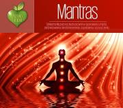 Muzykoterapia - Mantras. Autor: Soliton. Dadada.pl Okładka książki Muzykoterapia - Mantras