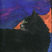 Opakowanie Notes Kot wieczorowy