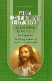 Okładka książki Patroni od spraw trudnych i beznadziejnych