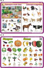 Podkładka edukacyjna  Warzywa, owoce, zwierzęta w moim domu. Autor: inne. Dadada.pl Okładka książki Podkładka edukacyjna  Warzywa, owoce, zwierzęta w moim domu