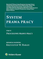 System prawa pracy Tom 6. Autor: Baran Krzysztof Wojciech, Krzysztof W. Baran (red.), Cieślak Sławomir, Dziadzio Andrzej, dr hab. Izabella Gil prof. nadzw. UWr, Gil Izabela, Góra-Błaszczykowska Agnieszka, Anna Machnikowska, Michał Skąpski, Świątkowski Andrzej Marian, Świątkowski Andrzej M., Torbus Andrzej Krzysztof. Dadada.pl Okładka książki System prawa pracy Tom 6