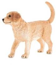 Opakowanie Szczenię rasy Golden Retriver ANIMAL PLANET