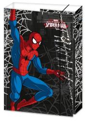 Opakowanie Teczka A4 gruba z gumką