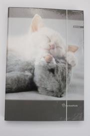 Opakowanie Teczka A4 z gumką