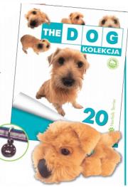 Opakowanie The dog Norfolk Terier