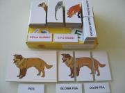 Okładka książki Zestaw dydaktyczny. Czyja głowa? Czyj ogon?