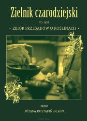 Okładka książki Zielnik czarodziejski