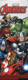 Opakowanie Bidon aluminiowy Avengers