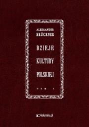 Okładka książki Dzieje kultury polskiej