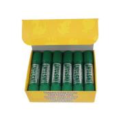 Opakowanie Farby w sztyfcie playcolor instant kolor ciemnozielony 12 sztuk