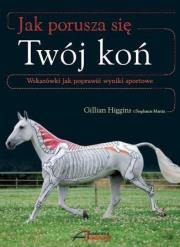 Jak porusza się Twój koń. Autor: Gillian Higgins, Stephanie Martin. Dadada.pl Okładka książki Jak porusza się Twój koń