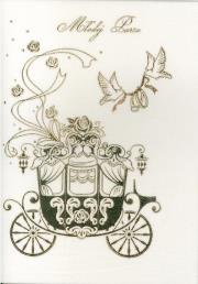 Opakowanie Karnet ślubny B6 Premium 21 (5szt)