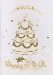 Opakowanie Karnet ślubny B6 Premium 9 (5szt)