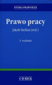 Prawo pracy. Autor: prof. UG dr hab. Jakub Stelina. Dadada.pl Okładka książki Prawo pracy