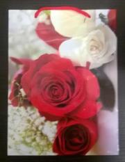 Opakowanie Torba prezentowa TCR-2 Średnia MIX AVANTI