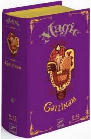 Zestaw magiczny Złote jajo. Wydawca: Djeco. Dadada.pl Opakowanie Zestaw magiczny Złote jajo
