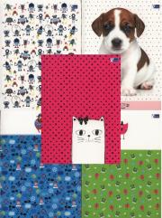 Zeszyt A5 w kratkę 16 kartek 20 sztuk mix. Wydawca: VERTE. Dadada.pl Opakowanie Zeszyt A5 w kratkę 16 kartek 20 sztuk mix