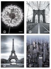 Opakowanie Brulion A4/96K kratka Black&White (5szt)